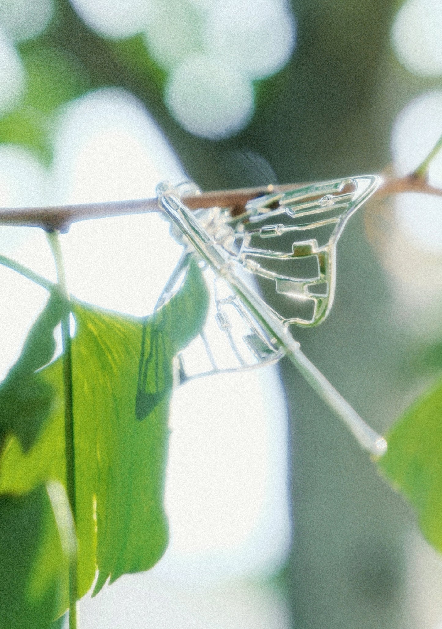 Ginko Lumin Earrings